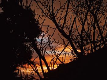 Silhouette of tree at sunset