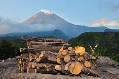 Stack of logs against mountain range