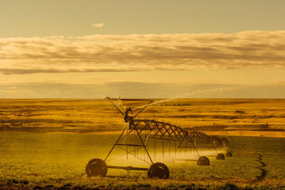 Scenic view of field against sky during sunset