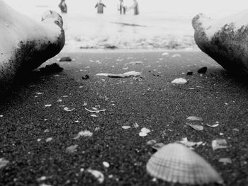 Low section of person on sand at beach