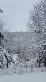 Scenic view of snow covered field against sky