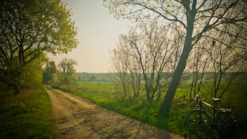 Road passing through field