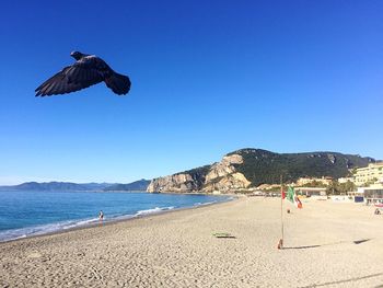 Scenic view of beach against clear blue sky