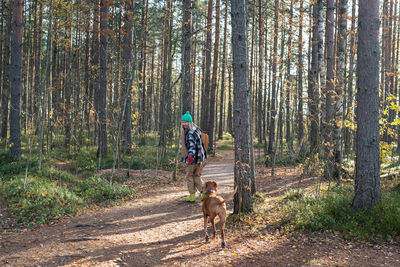 Rear view of woman walking in forest