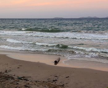 Scenic view of beach against sky during sunset