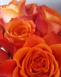 Close-up of rose bouquet