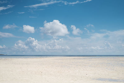 Summer beach background. sand and sea and sky.