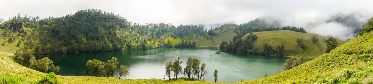 Panoramic view of river passing through forest