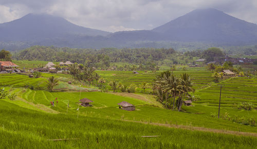 Scenic view of field and mountains against sky