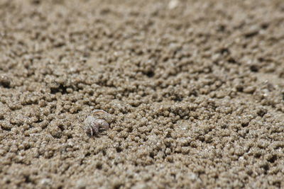 Detail shot of sand