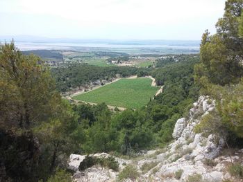 High angle view of trees on landscape against sky