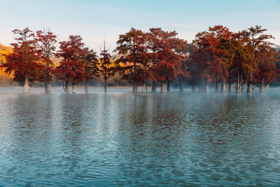 Scenic view of lake