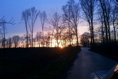 Road passing through forest