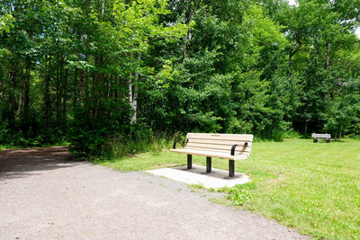 Empty bench in park