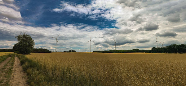 Scenic view of agricultural field against sky