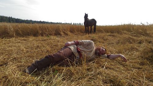 View of horse on field