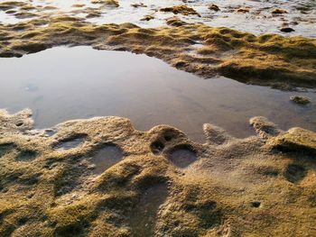 High angle view of beach