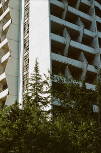 Low angle view of tree by building