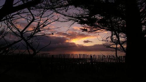 Silhouette bare tree by sea against sky during sunset