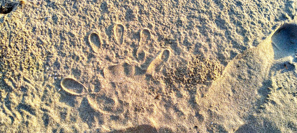 High angle view of footprints on sand at beach