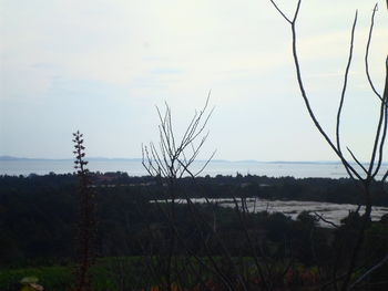 Scenic shot of calm lake against sky