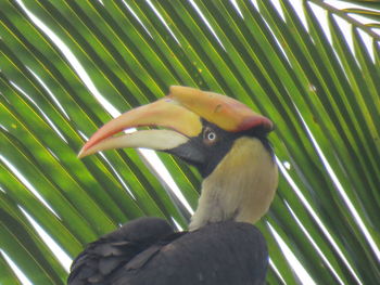 View of an animal on tree stump