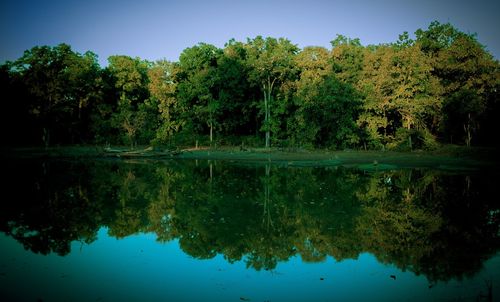 Reflection of trees in water against clear sky