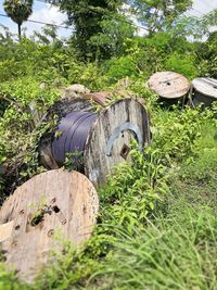 View of wooden logs on field