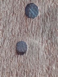 High angle view of shells on shore