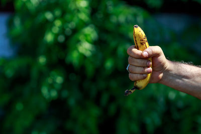 Cropped hand holding banana