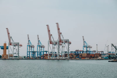 Bulk carrier ship under load of clinker cargo loading by shore cranes with grabs. sea trading port 