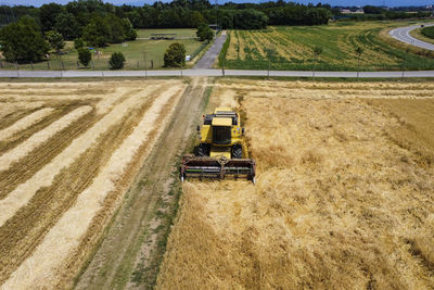 Harvesting scene in the italian countryside