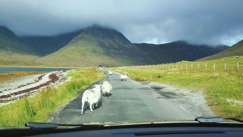 Road passing through mountains