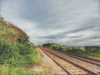 Railroad track along trees