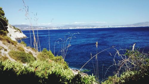 Scenic view of calm sea