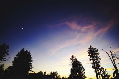 Low angle view of silhouette trees against sky