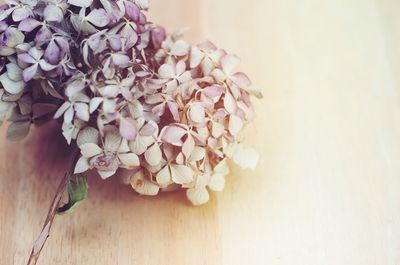 Close-up of flowers