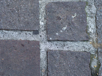 Full frame shot of paving stone