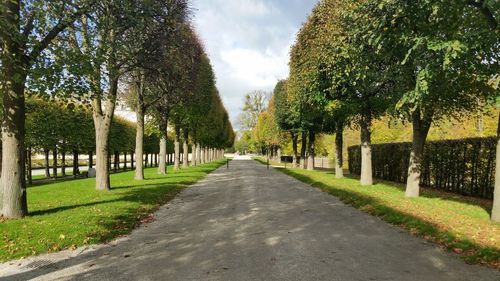 Footpath amidst trees in park against sky