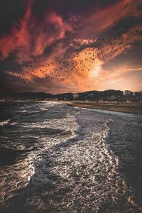 Birds flying over sea against orange sky