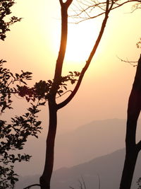 Silhouette tree against sky during sunset