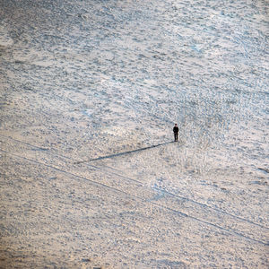 High angle view of man standing alone with long shadow on the beach. 