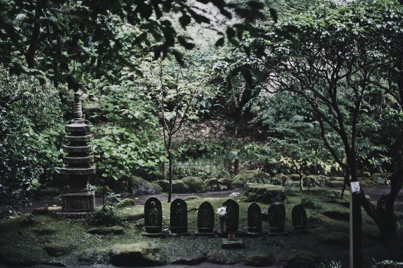 tree, plant, grave, no people, cemetery, architecture, built structure, nature, tombstone, day, religion, history, stone, the past, spirituality, growth, belief, place of worship, outdoors