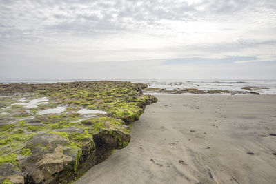 Coastal scene at swami's beach. encinitas, ca, usa.