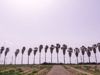 Narrow road along countryside landscape