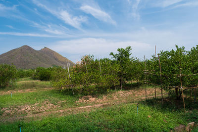 Scenic view of land against sky