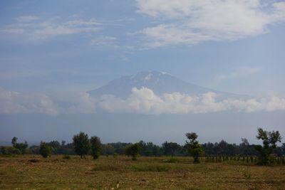 Scenic view of field against sky