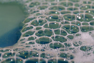 Close-up of water drops on glass