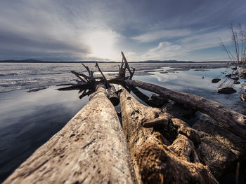 Driftwood on rock by sea against sky