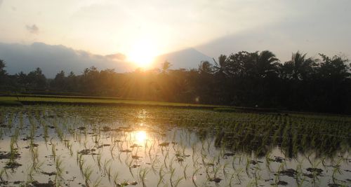 Scenic view of lake against sky during sunset